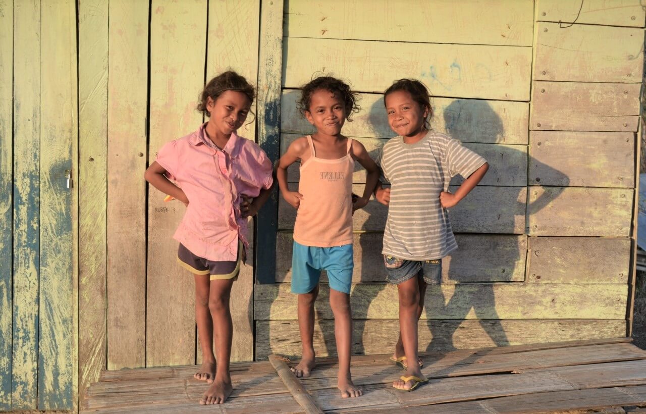 Sekilas Pilar Program